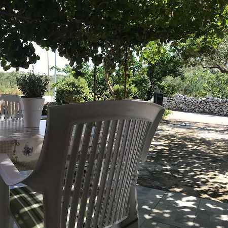 Apartman Mirjana With Terrace And Free Parking Donji Okrug  Zewnętrze zdjęcie